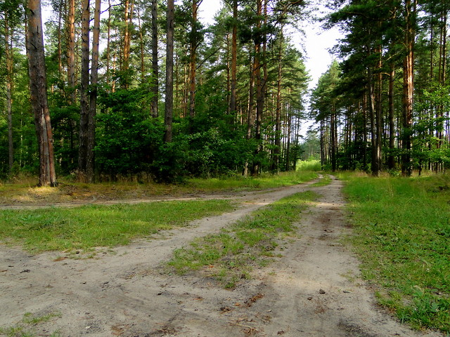 LUTEK