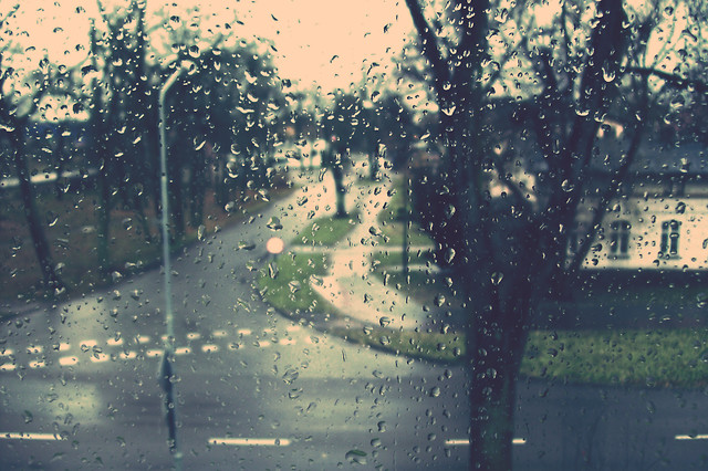 The Autumn 