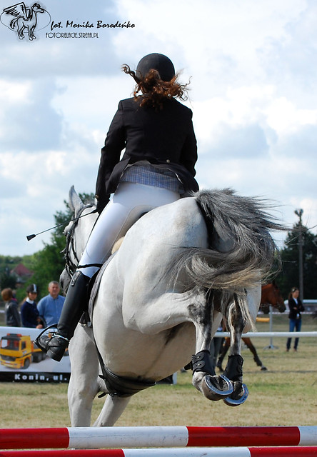 Grene Cup 2011