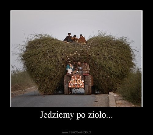  Jedziemy po zioo :)