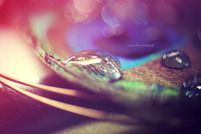 Drop.