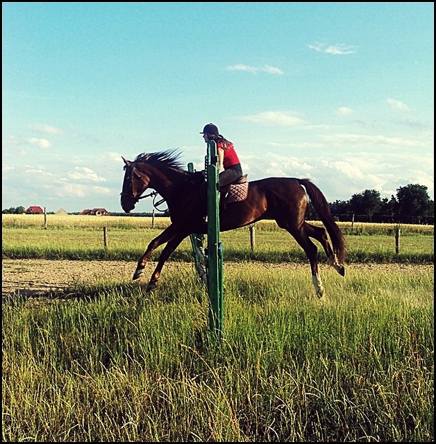 Bajankaa ♥♥♥