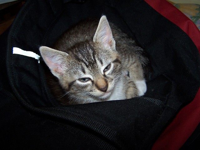 Gerda