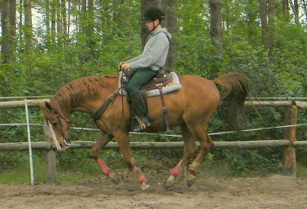 Na Colinie