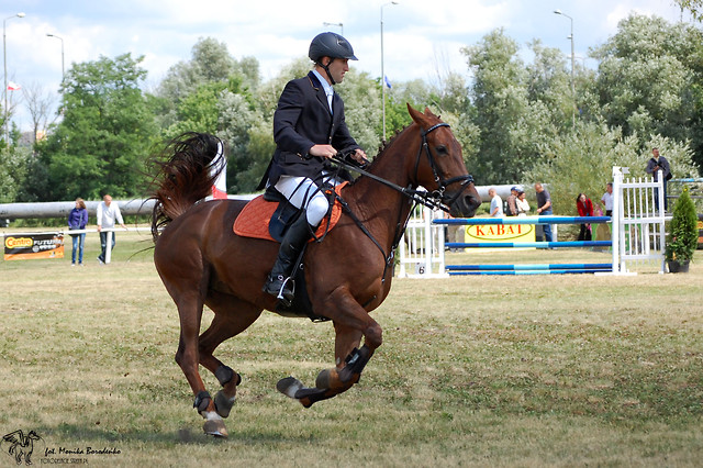 Grene Cup 2011