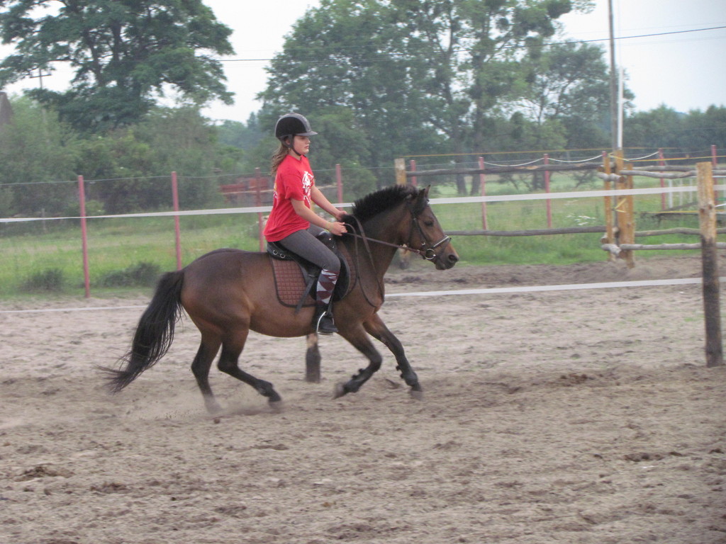 Galop :D