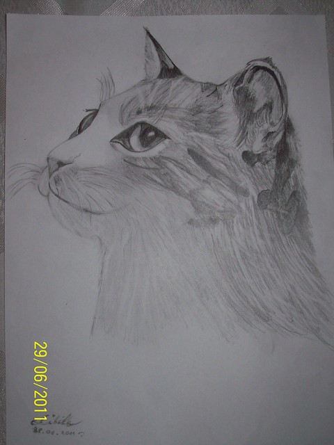 meoww