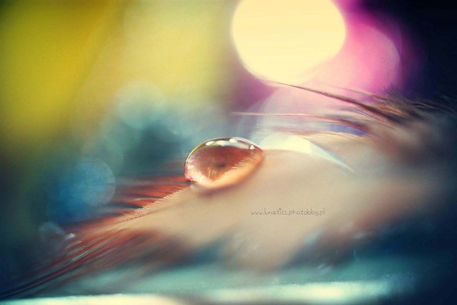Drop.