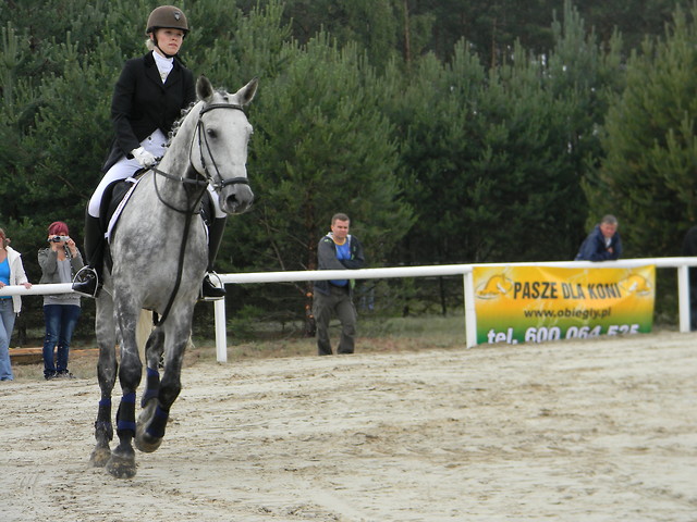 Kwieki 2011