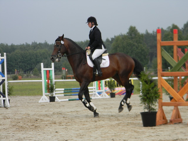 Kwieki 2011 Pers