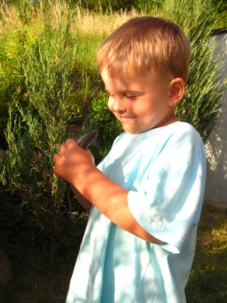 Eryczek :***