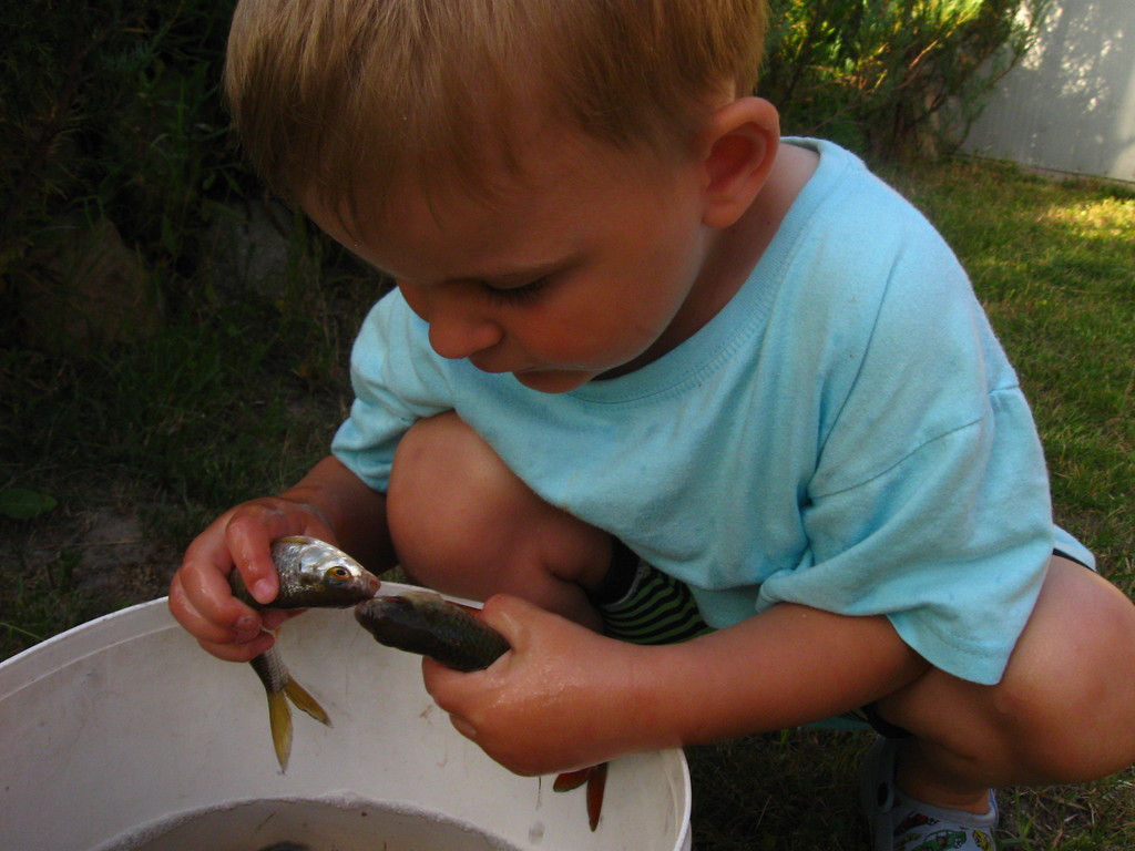 fishing