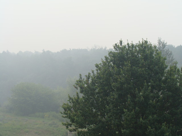 Deszczowo
