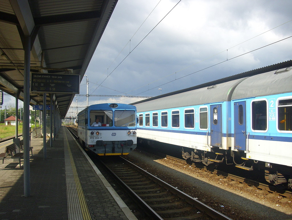 810 394-7