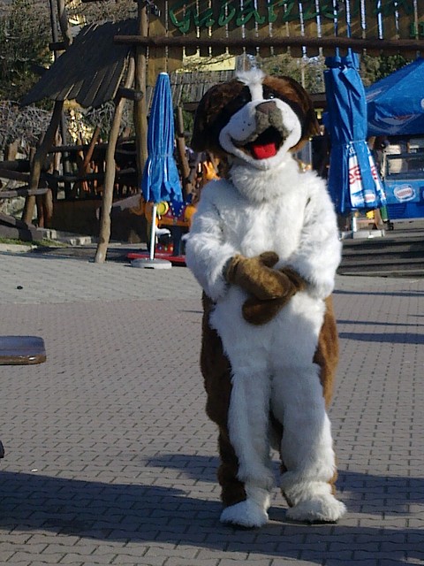 Zakopane . xd 