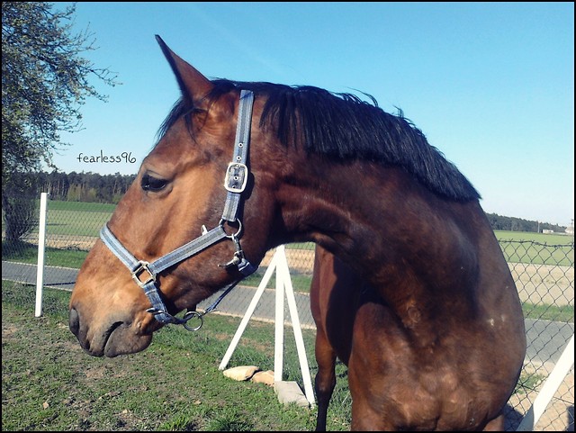 Jeeeeeeeerry ♥