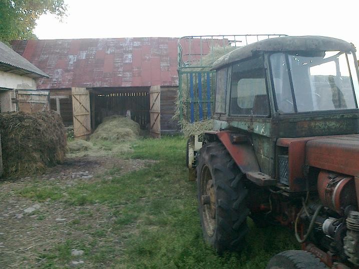 zdj:/ 5 czerwiec