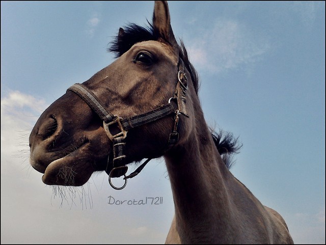 Mela ♥