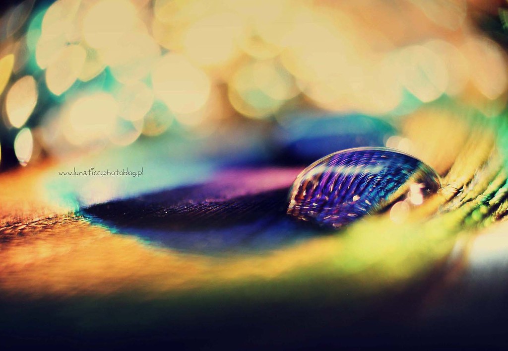 Drop.