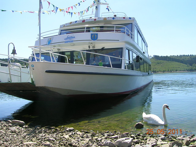 25.05.11.White Boat & White Swan