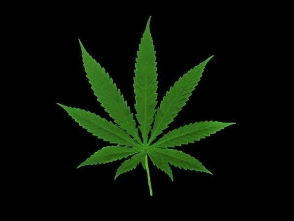 LEGALIZACJA