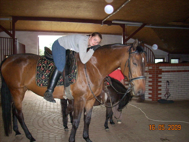 Czapelsu ; *
