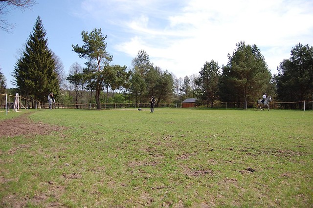 abieniec