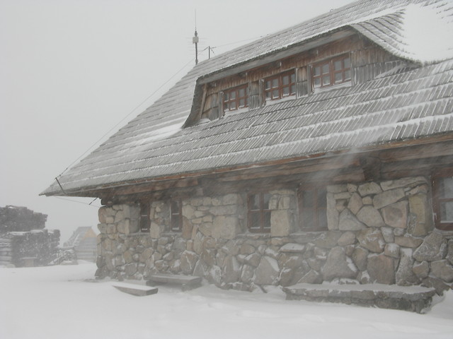 Tatry - kwiecie