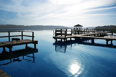 Mazury