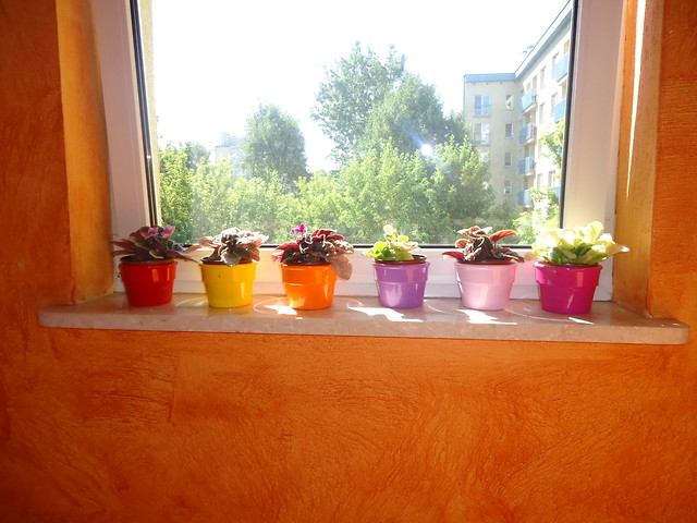 colorfull czy jakos tak