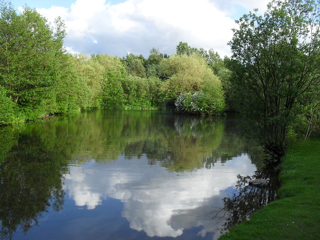 Park 