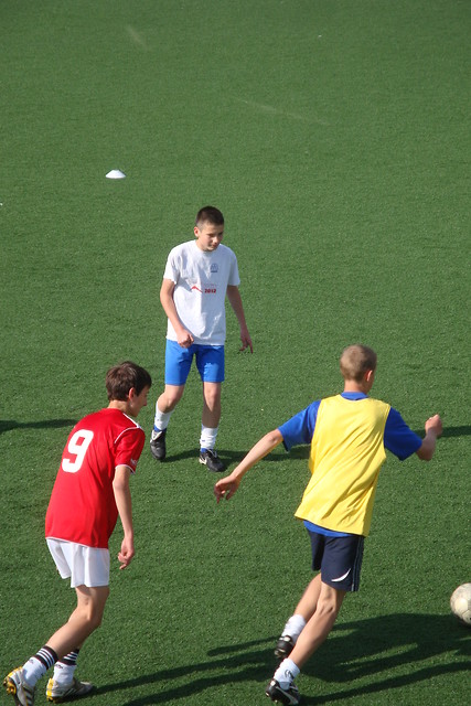 26