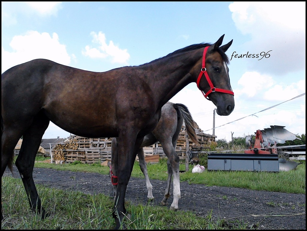 Himena ♥