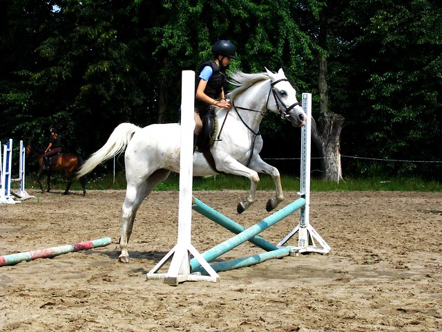 Matea ;D
