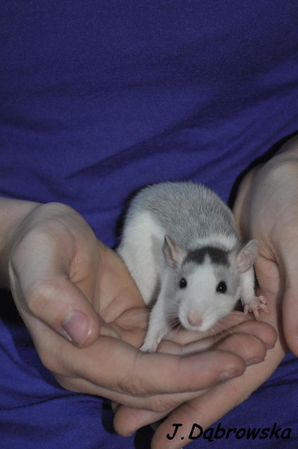 a oto Edward .< 3