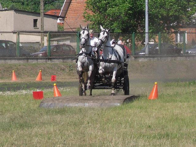 Para w zaprzgu