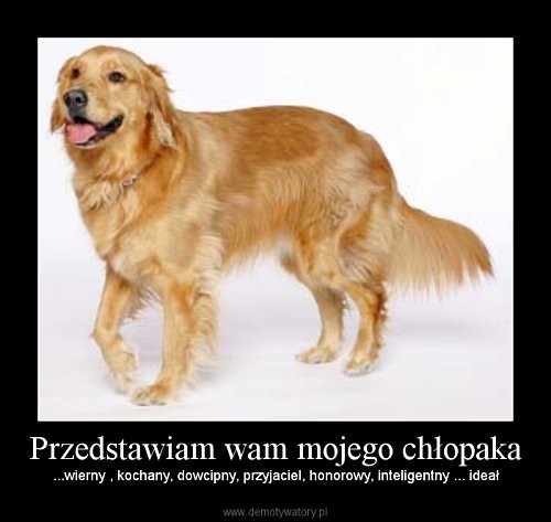 Przepraszam