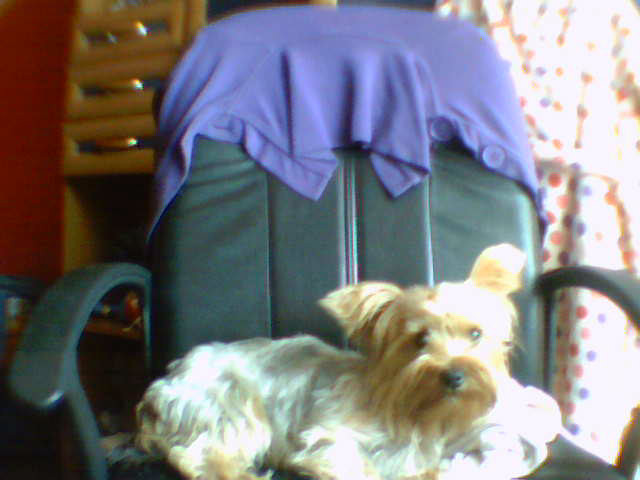 Luska;]