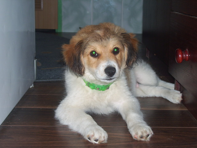 Tofciu:)