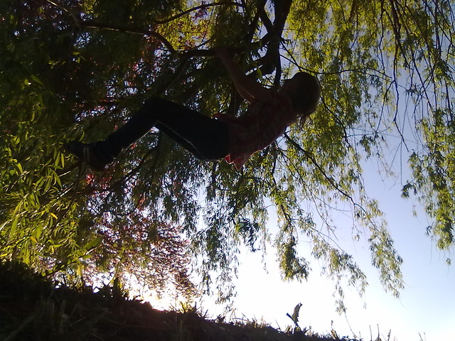 staree : )