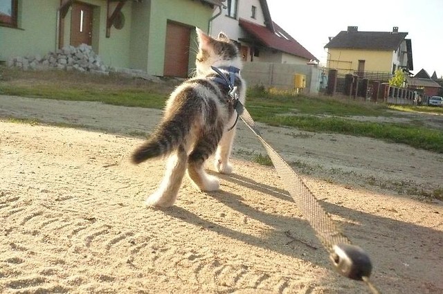 Na spacerku^^