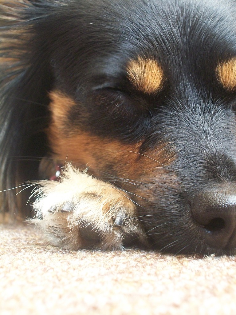 kika :P
