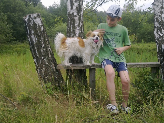 Z Pig .: p 