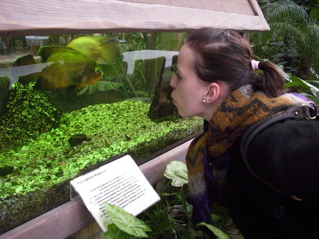 this is a fish:P