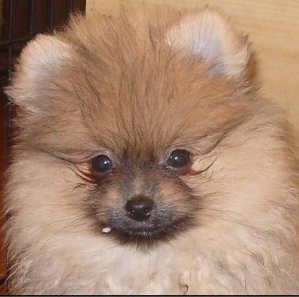 BAZYLEK;) 