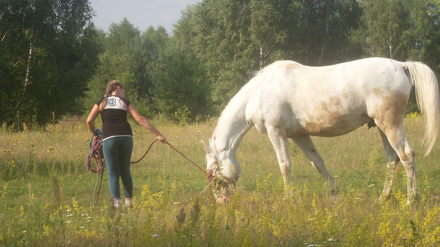 NA TRAWCE :)