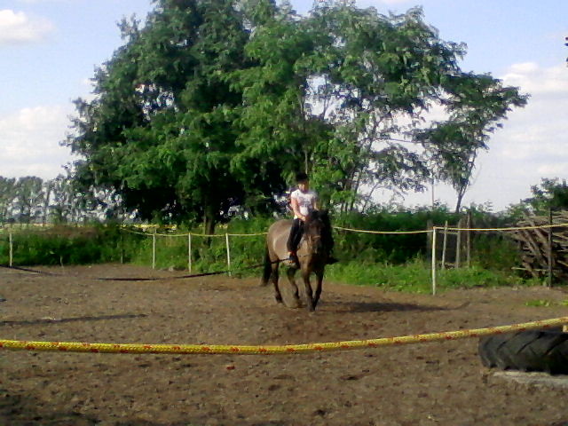 Ko moim przyjacielem ;* 