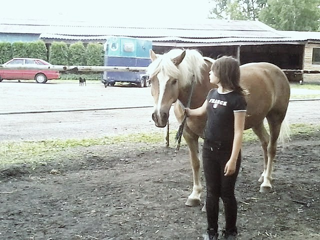 Myszka < 3 ; * * * 