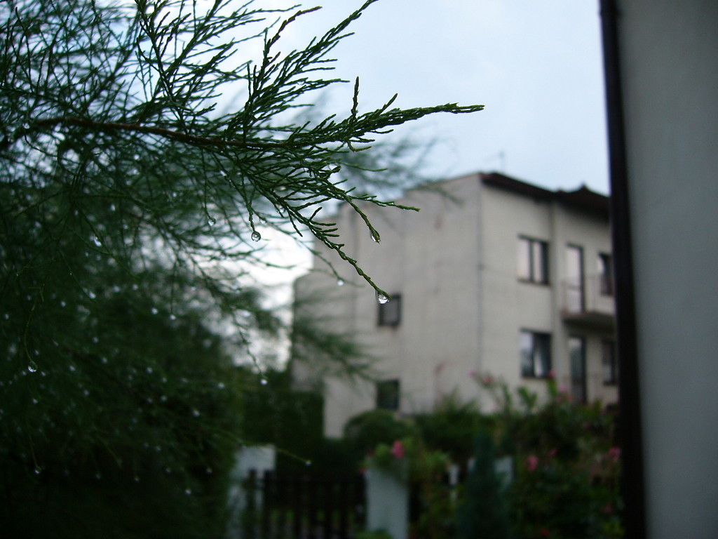 kropla.