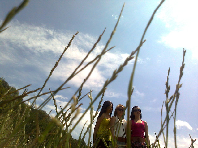 MY :****************************